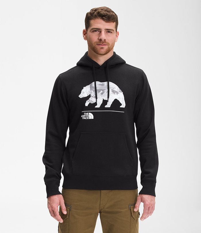 Sudadera Con Capucha The North Face Hombre Bearscape Pullover Negras - Peru 52904YKQU